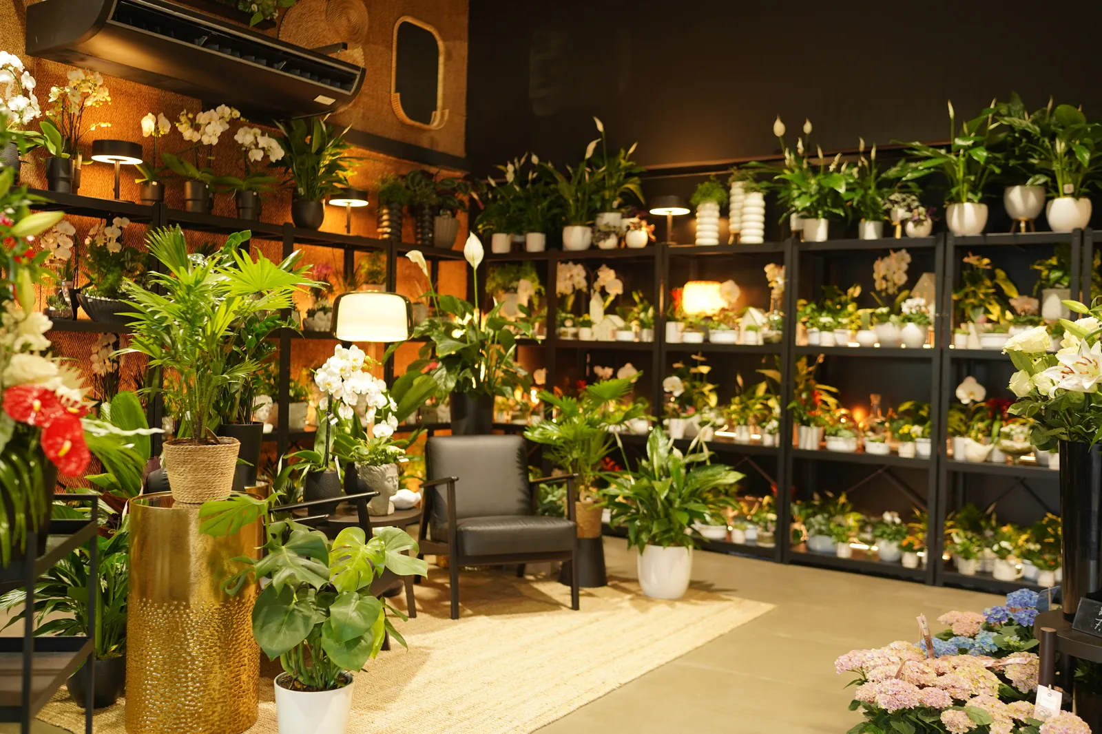 Intérieur de la boutique Hugo le Fleuriste Belfort