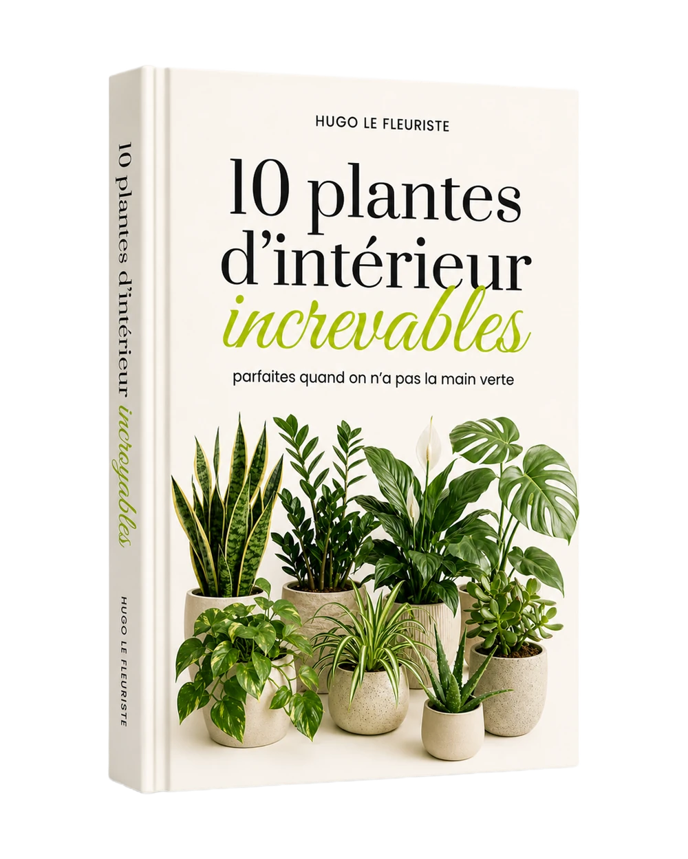 Ebook gratuit 10 Plantes d'Intérieur Increvables