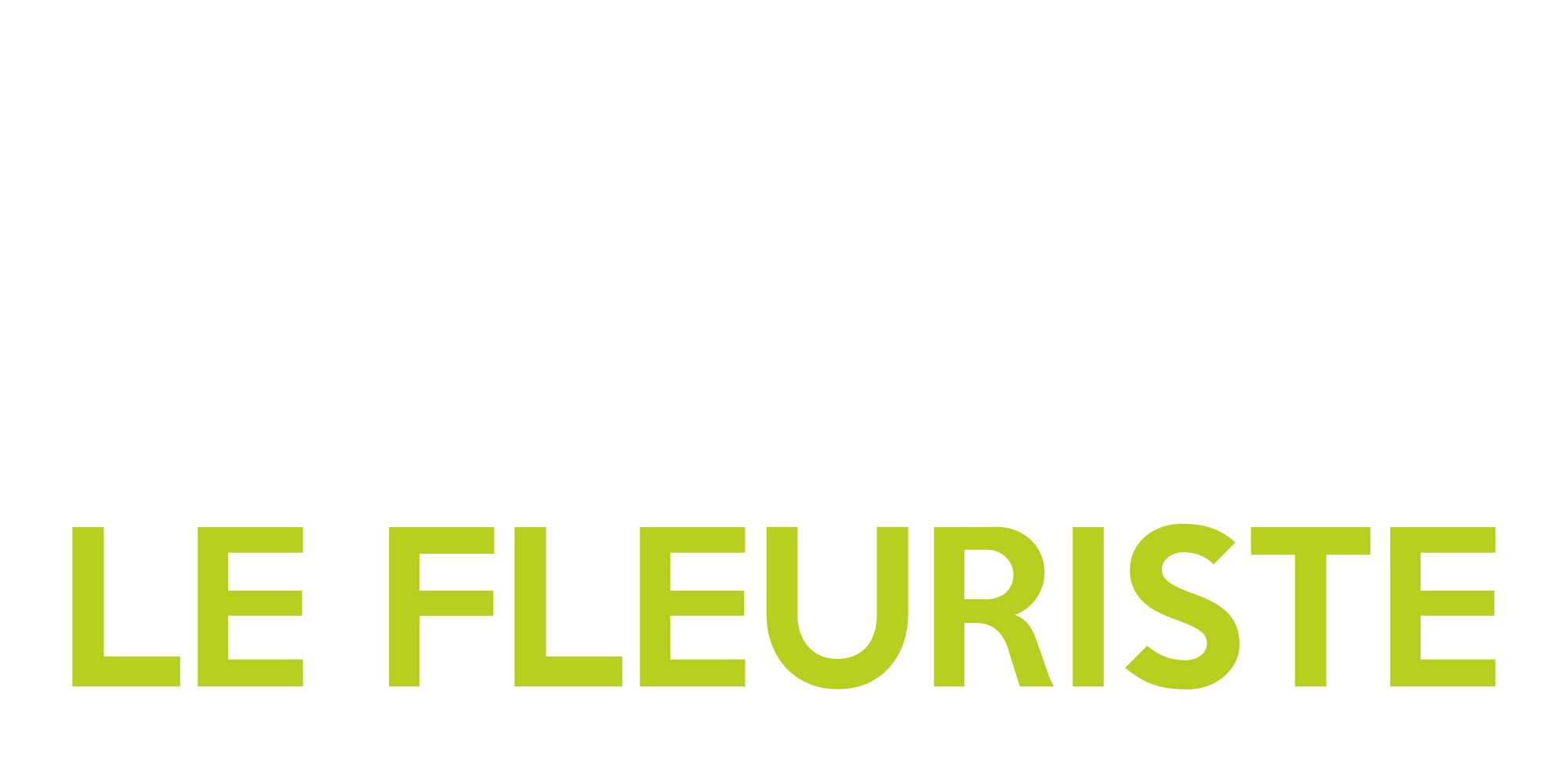 Hugo le Fleuriste
