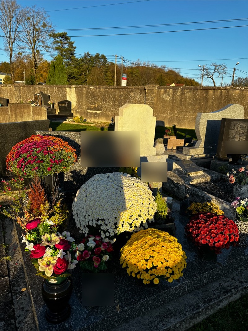 Grands chrysanthèmes blanc, jaune et rouge posés sur une tombe